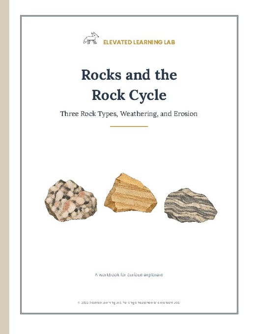 Rocks and the Rock Cycle workbook cover